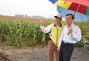 陳文德副主委 ( 右 ) 視察嘉義縣義竹鄉玉米試作田，游添榮分場長 ( 左 ) 解說新品系與明豐三號之差異