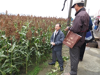 蘇宗振分署長與游添榮分場長於試驗田進行討論