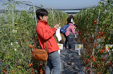 與會來賓在田間展示圃記錄有興趣的品種