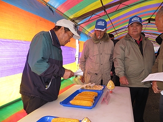 與會農友熱烈討論新品系表現