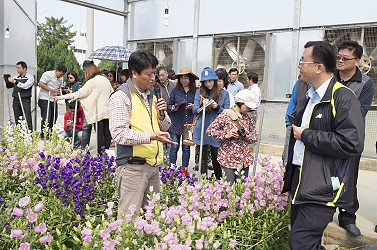 陳俊仁助理研究員在溫室現場解說商業品種的特性及栽培要領