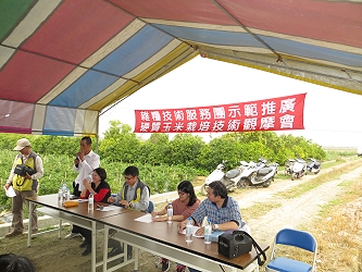 示範田張細雲農友分享其栽培管理心得