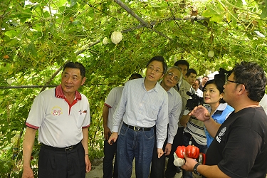 張院長至田間瞭解苦瓜栽種情形