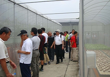 栽培系統現場觀摩