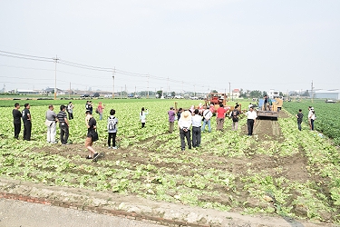 與會人員觀摩應用輸送帶作業母機進行不落地作業示範之田間場景