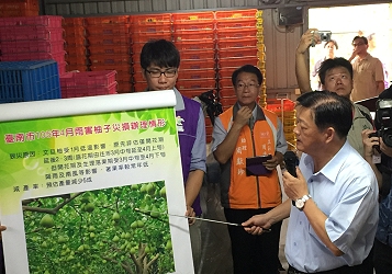 臺南市農業局許漢卿局長針對臺南市文旦柚災損狀況進行簡報