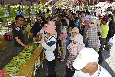 種苗公司展售攤位