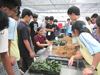 同學們在嘉大園藝技藝中心學習蝴蝶蘭換盆操作技術