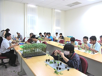 同學們小心翼翼進行番茄及茄子嫁接技術 