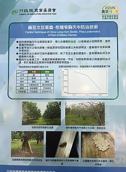 參展項目－柑橘窄胸天牛防治技術