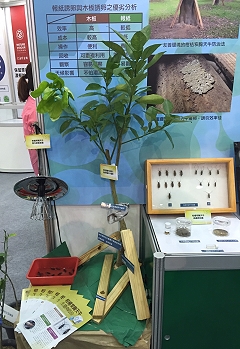 參展項目－柑橘窄胸天牛防治技術