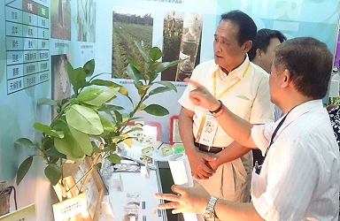 鄭副長向曹啟鴻主委解說柑橘窄胸天牛防治技術