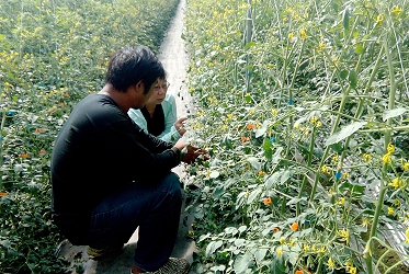 鄭安秀課長叮嚀青農蔡健中病害防治管