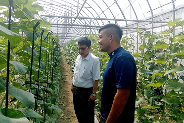 王仕賢場長和青農陳育旗討論洋香瓜栽培管理技巧 