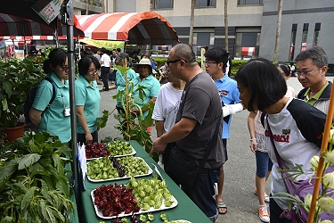 亞蔬中心展示各式落神花品種