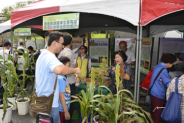 黃金廊道攤位由研究人員介紹高粱及玉米