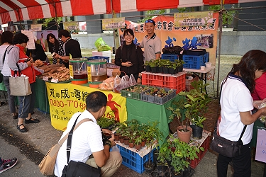 斗六青農 也來參一腳，生意興隆