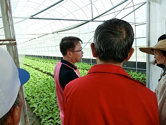 雲林縣青農聯誼會會長程裕誠先生協助說明設施葉菜管理