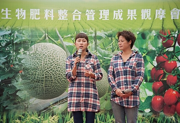 蔡韻甄農友分享小果番茄肥培管理