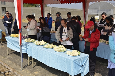展示品種花球各有特色令參加業者與民眾紛紛拍照記錄