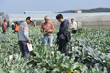 眾紛紛拍照記錄 