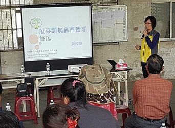 黃秀雯助理研究員介紹絲瓜主要病蟲害及防治方法