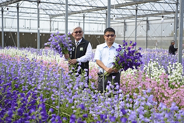 捧風鈴花束的兩位帥哥 