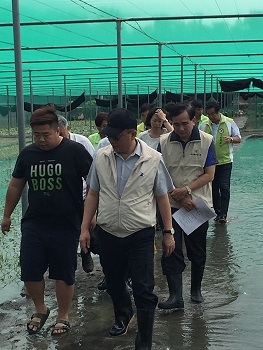 林主委視察漢光生產合作社蔬菜田區，溫室內葉菜皆已泡水，損失慘重