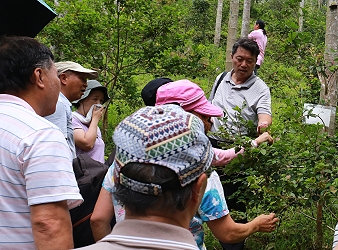 油茶栽培整枝修剪示範觀摩田間實況