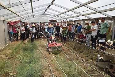 導入輔具省工作業田間示範