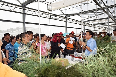 溫室環控及滴灌設備應用解說