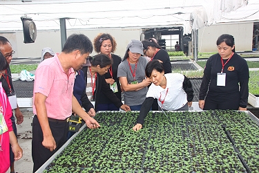 業師講解苗床管理技術