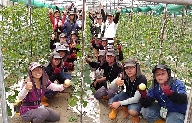 準農業師傅準備好了