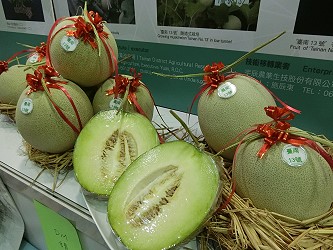 洋香瓜 ‘ 臺南 13 號 ’ 果品展示
