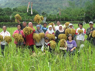 阿里山鄉雜糧產銷第 2 班生產的有機雜糧是阿里山最有生命力的良食