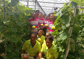 太保市蔬菜產銷第 26 班所生產的頂級蔬果創造年營業額破億佳績