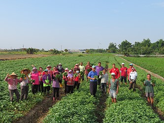 新港鄉蔬菜產銷第 27 班生產產銷履歷蔬菜，安心健康掛保證