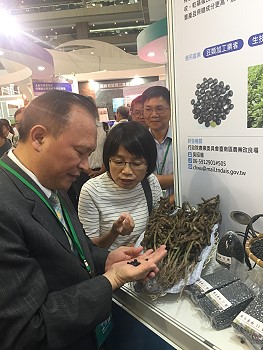 吳昭慧副研究員向林主委說明黑豆臺南 11 號特色 