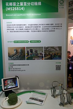 硬質玉米臺南 29 號海報與實物展示