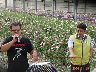 王場長與鄭欣奇農友現場解說洋桔梗栽培管理