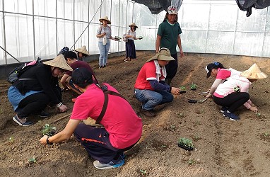 9月27日台南場次 - 老師變身為農夫種菜苗
