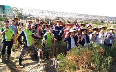 11月29日嘉義場次 - 嘉義縣崇美農場採收新鮮蘆筍