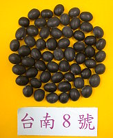 台南8號