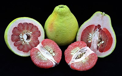 麻豆紅柚果肉柔軟多汁、糖酸適中 ，廣受消費者喜愛