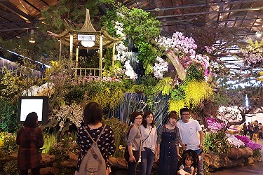 本次蘭展以「蘭亭集序」為主題，結合蘭花與人文氣息的造景十分引人入