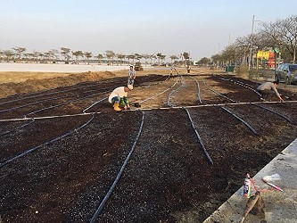 完成覆土後鋪設水帶 