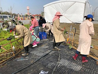 草皮及圍籬裝飾