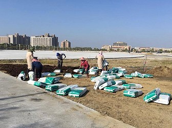   運來大量介質土準備覆蓋