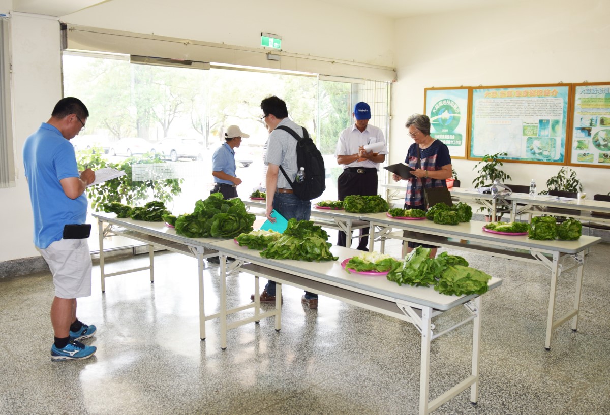 評審委員進行食用品質評鑑