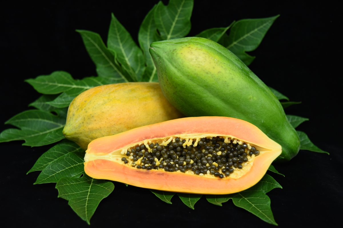 木瓜有萬壽果之稱，營養豐富又香甜可口